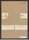 Triceratium plicatum Grun. (de-Toni-Nr.: Genus 140, Species 3988) Zeichnungen Sammlung Grunow Nr. 7465 (NHMW-BOT-W0376562)